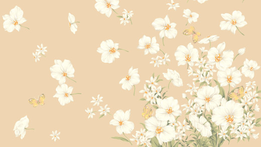 860363 (a): :1920x1080
